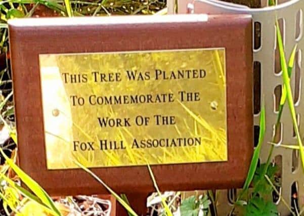 Fox Hill Tree SUS-200712-180648001
