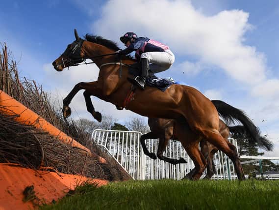 Over they go at Fontwell Park / Picture: Getty Images