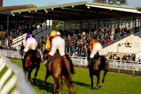 The crowds are back and the sun is out at Fontwell / Picture by Alan Crowhurst, Getty