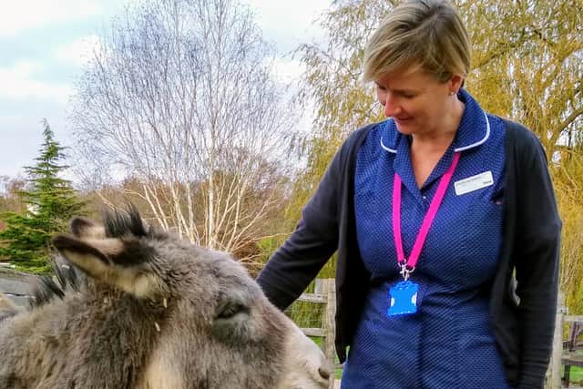 Nurse Trina with the hospice donkey