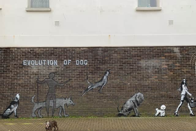The original mural on the side of the RSPCA charity shop in Montague Street, Worthing, by Horace