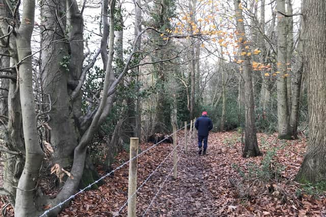 Barbed wire fencing has been installed around Horsham woodland