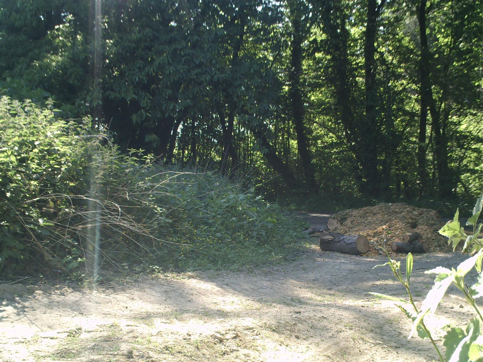 'Erratic' fly-tipping has been a problem in Petworth for 'at least five ...