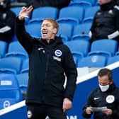 Graham Potter's Brighton are just one point above the relegation zone