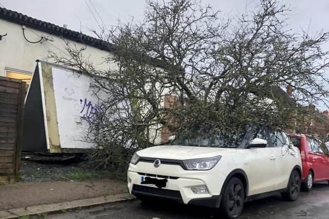 A fallen tree causes damage in Westland Avenue, Worthing