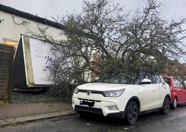 A fallen tree causes damage in Westland Avenue, Worthing