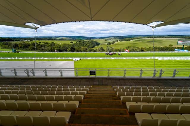 Empty stands were the story of the year at Goodwood / Picture: Getty