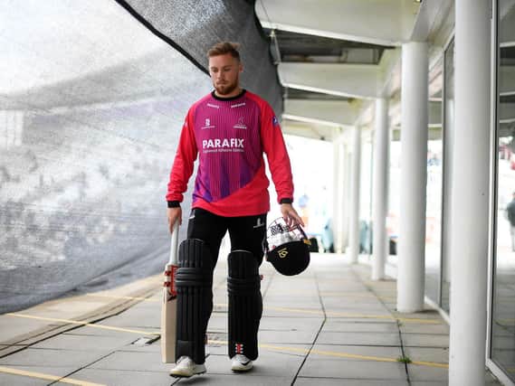 Phil Salt has been in action in the Big Bash - and will also go to Abu Dhabi / Picture: Getty
