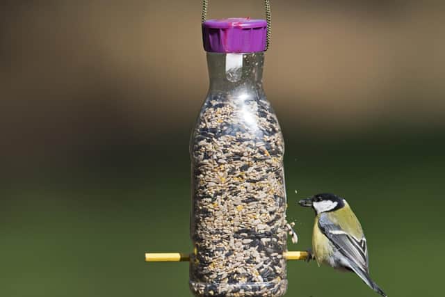 Make and Do a bottle bird feeder, completed feeder with satisfied Great tit SUS-211101-105406001