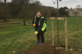 Amy Heley helping plant one of the hundreds of new trees at Stanmer Park