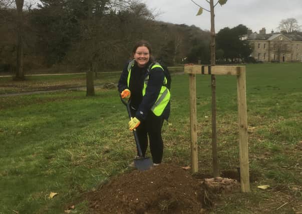 Amy Heley helping plant one of the hundreds of new trees at Stanmer Park