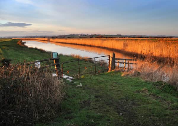 Waller's Haven on Pevensey Levels looking towards Herstmonceux in the late afternoon winter sun. January 20th 2014 E03185Q ENGSUS00120140122104451