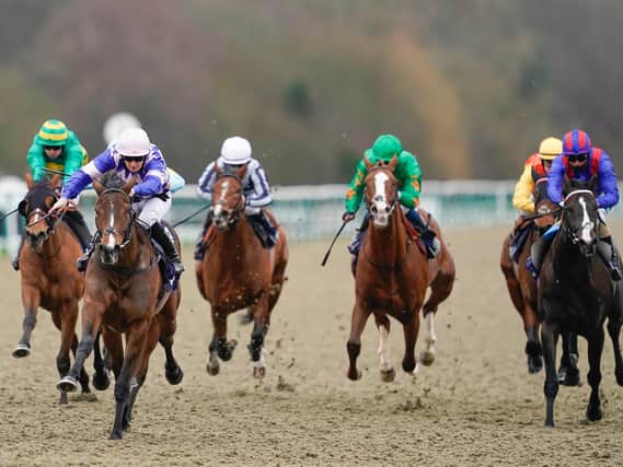 There's action at Lingfield today / Picture: Getty