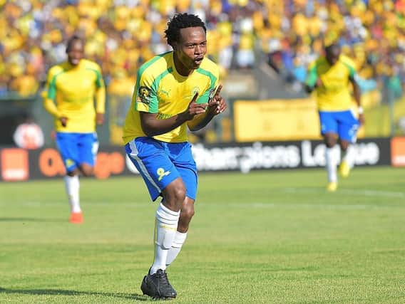 Brighton's new arrival Percy Tau is a hugely popular player in South Africa
