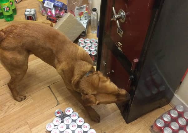 Cooper by the safe. Photo provided by West Sussex Trading Standards