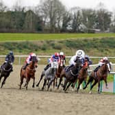 They race at Lingfield today / Picture: Getty