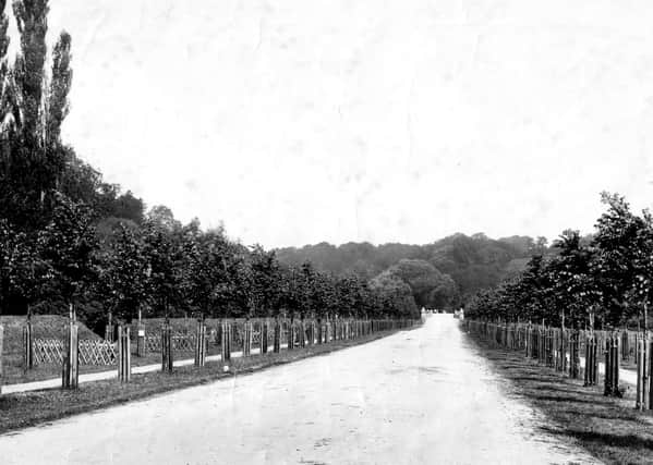 New Road shortly after it opened in the 1890s, later to be named Mill Road