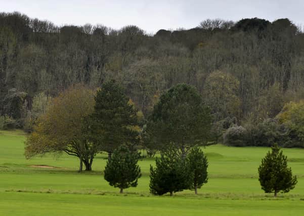 Trees leading up to the downs viewed from Eastbourne Royal Golf Course (Photo by Jon Rigby) SUS-191118-135510008