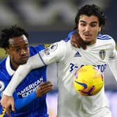 South African striker Percy Tau looks set for a starting role against Blackpool