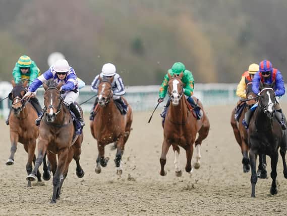 Jack Dawling is focusing on one of eight Lingfield races on the card on Sunday / Picture: Getty