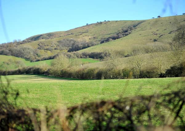 Scenic views of the South Downs