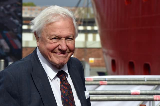 Britain's Sir David Attenborough reacts during the naming ceremony of Britain's new polar research ship, the RRS Sir David Attenborough in Birkenhead, northwest England on September 26, 2019. (Photo by Asadour Guzelian / POOL / AFP) (Photo by ASADOUR GUZELIAN/POOL/AFP via Getty Images) SUS-210302-092624001