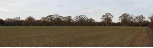 Land at the proposed Brinsbury Fields development site