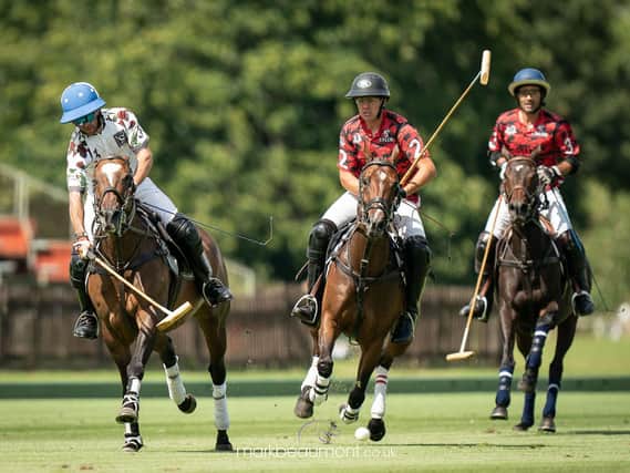 Polo action at Cowdray Park last year / Picture: Mark Beaumont