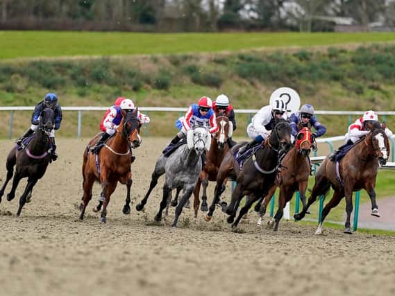 There's Saturday action at Lingfield / Picture: Getty