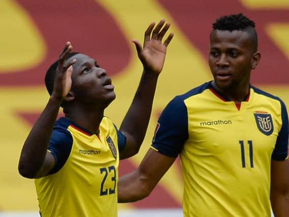 Ecuador midfielder Moises Caicedo sealed his move to Brighton