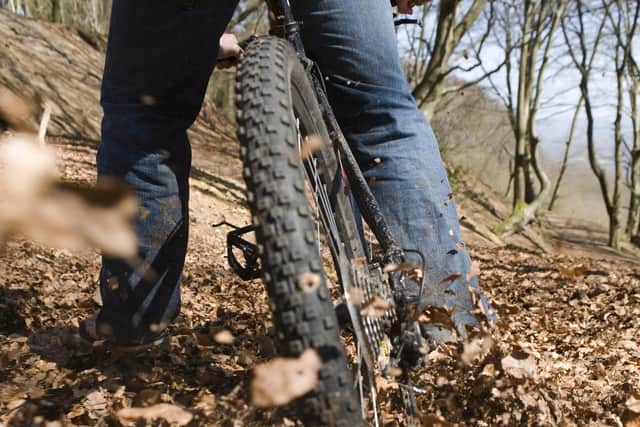 The National Trust said rangers and volunteers have seen a 'substantial increase' in unofficial mountain bike trails in nature reserves and woodlands. Photo: National Trust Images / John Millar