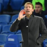 Graham Potter has divided opinion with Albion fans