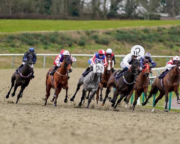 There's Saturday action at Lingfield Park / Picture: Getty