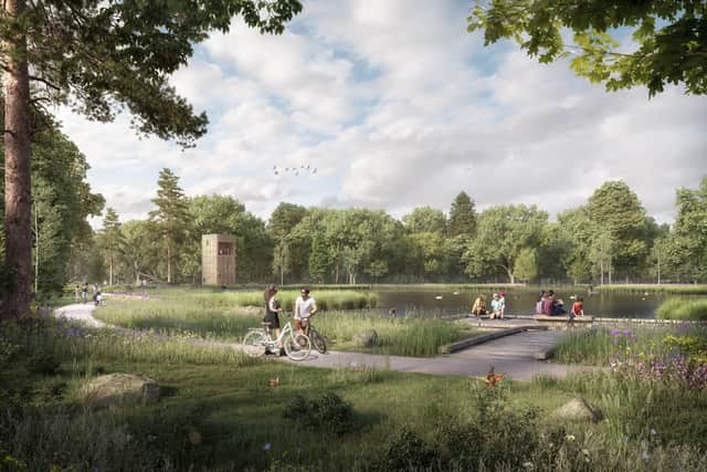 Proposed new viewing stations and millpond at Warnham Local Nature Reserve