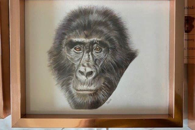 Emma Neno's pencil drawing of a gorilla recently won the judge's vote in the Pier Road Coffee & Art January blues art competition