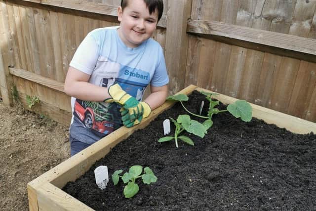 Between his surgery and having proton beam therapy, Charlie really got into gardening and growing vegetables. Picture: Brain Tumour Research