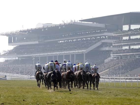 There will be no packed stands this year, but there will be the usual top-quality National Hunt racing at the Cheltenham Festival / Picture: Alan Crowhurst, Getty