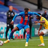An injury to Wilf Zaha and the return of Tariq Lamptey could work in Brighton's favour this Monday