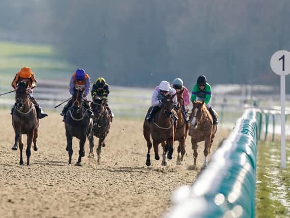 They race at Lingfield on Saturday / Picture: Getty