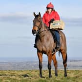 Coneygree - ready to deliver