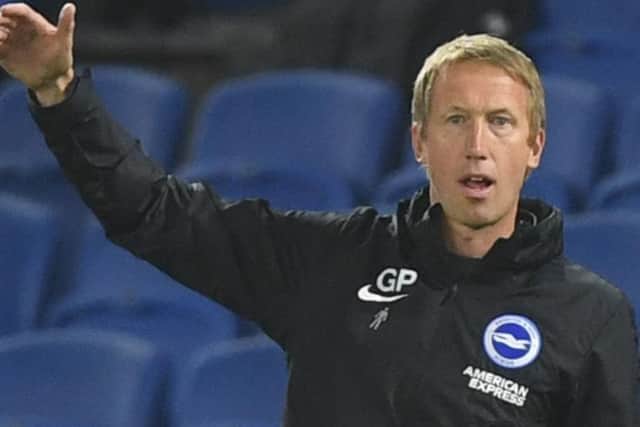 Brighton head coach Graham Potter is starting to see "greenshoots and vegetables" after plenty of "backache"