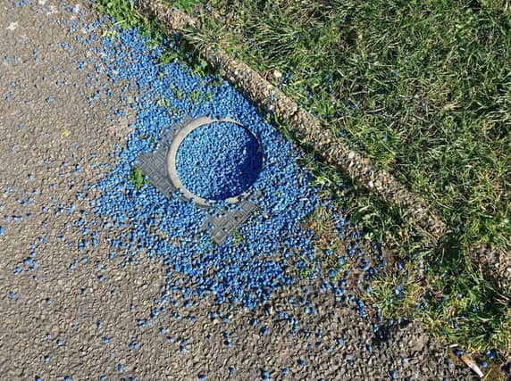 Many residents raised concerns about blue stones found in Princes Park. SUS-210203-130622001