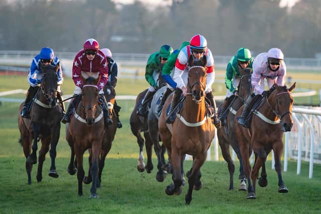 Action in the last race of NSH raceday at Fontwell / Picture: Darren Cool for Fontwell Park