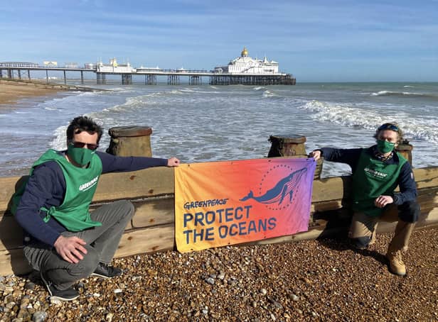 Eastbourne Greenpeace group campaigning to protect the oceans. SUS-210403-160411001
