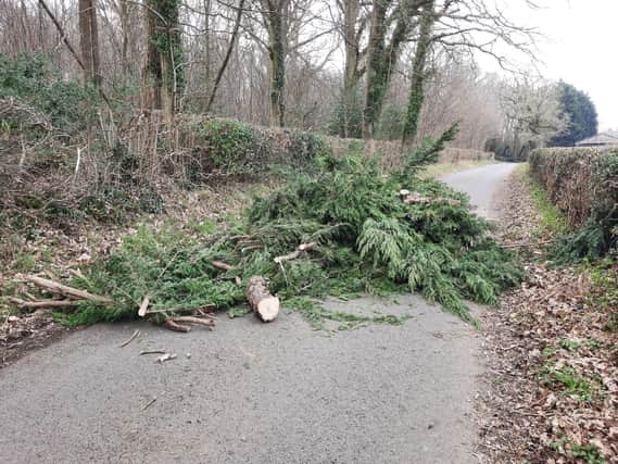 New England Lane, in Sedlescombe, was 'impassable' because of the fly-tipping