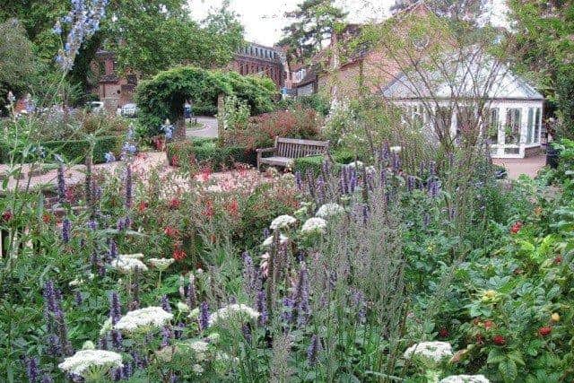 A central bed of salvias in Horsham Park's sensory garden