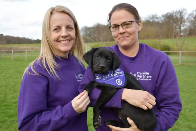 Canine Partners puppy parent Julie Wilks with puppy-in-training Chase and one of the charity's trainers