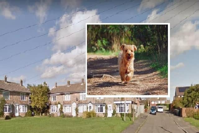 Manor Park in Uckfield and (inset) a dog. Picture: Google Street View