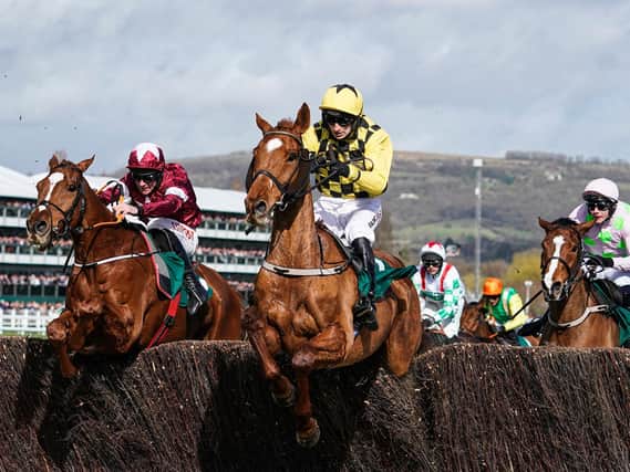The Champion Chase is a day two highlight / Picture: Getty