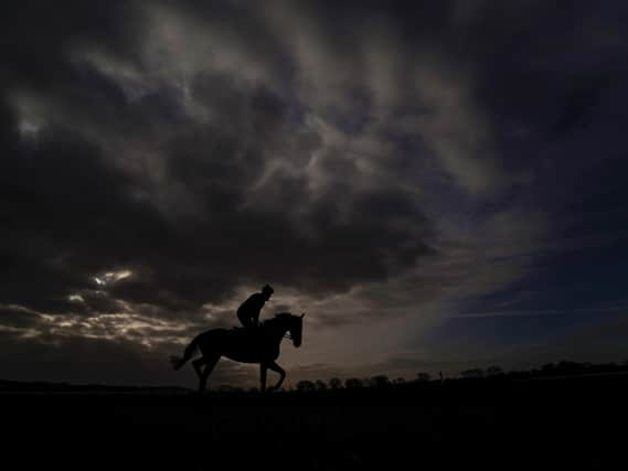 A general view as horses exercise on the gallops at Cheltenham Racecourse